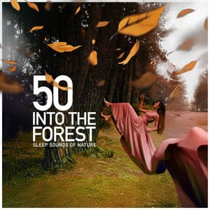 50 Into the Forest - Sleep Sounds of Nature