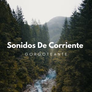 Sonidos De Corrientes Gorgoteantes - Arroyos Ventosos