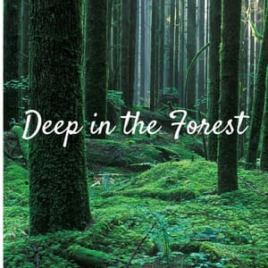 Deep in the Forest - Tailormade Ocean Waves