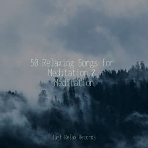50 Relaxing Songs for Meditation & Meditation - CANCIONES DE CUNA