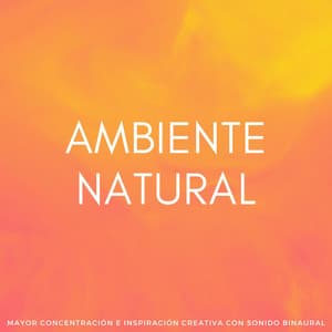 Ambiente Natural: Mayor Concentración E Inspiración Creativa Con Sonido Binaural - El Tiempo Central