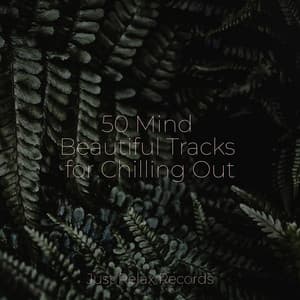50 Mind Beautiful Tracks for Chilling Out - ASMR HD