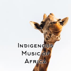 Indigenous Music of Africa - Angelithe