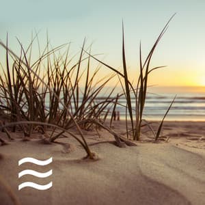 Restful Airplane Cabin Sound Loop - Airplane Cabin Sound for Baby Sleep