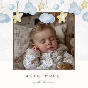 A Little Miracle - Sweet Slumber