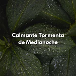 Calmante Tormenta De Medianoche - Trueno relámpago y tormenta de lluvia