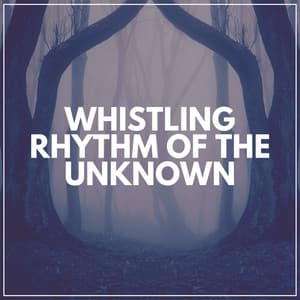 Whistling Rhythm of the Unknown - Le Sommeil