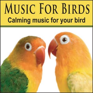 Music For Birds: Cockatoo Music, Bird Music, Parrot Music - Pet Music Artists