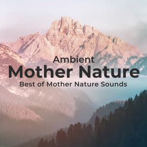 Ambient Mother Nature - Best of Mother Nature Sounds