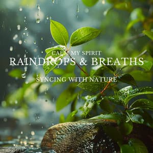 Raindrops & Breaths: Syncing with Nature - Calm My Spirit