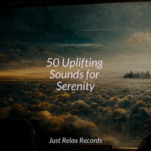 50 Uplifting Sounds for Serenity - Study Music & Sounds
