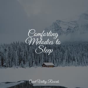 Comforting Melodies to Sleep - Thunder Storm