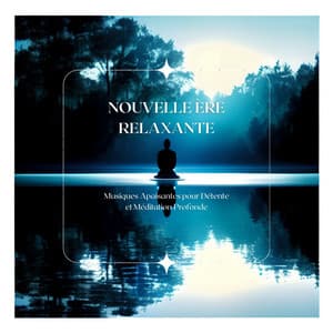 Nouvelle Ère Relaxante: Musiques Apaisantes pour Détente et Méditation Profonde - Jardin japonais