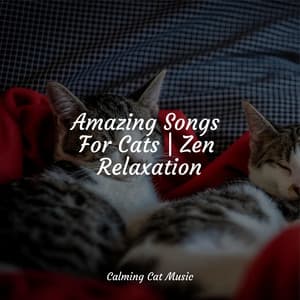 Amazing Songs For Cats | Zen Relaxation - Pet Care Music Therapy