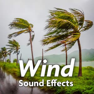 Wind Sound Effects - Sound Ideas