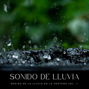 Sonido De Lluvia: Sonido De La Lluvia En La Ventana Vol. 1 - Olas del Mar
