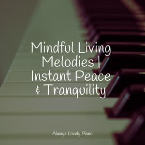 Mindful Living Melodies | Instant Peace & Tranquility - Relajante Música de Piano Oasis