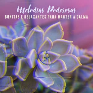 Melodias Poderosas, Bonitas e Relaxantes para Manter a Calma e Descansar: Alívio Profundo do Estresse e Sono Melhor - Academia de Música para Massagem Relaxamento