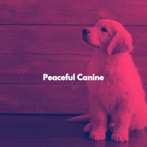 Peaceful Canine - Jazz Alegre para Cafés