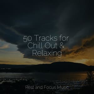 50 Tracks for Chill Out & Relaxing - Binaural Beats Brainwave Entrainment