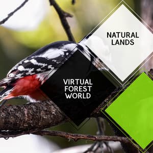 Virtual Forest World - Natural Lands - Sleepy Times