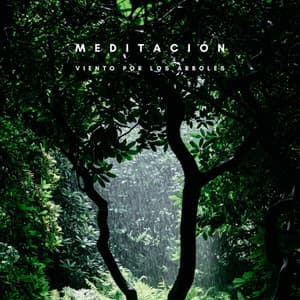 Meditación: Viento Por Los Árboles - Ruidos de la Selva