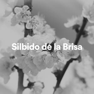 Silbido de la Brisa - Ruido Blanco Hart