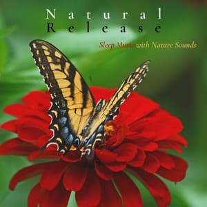 Natural Release - Sleep Music with Nature Sounds - Natural Element