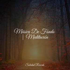 Música De Fondo | Meditación - Meditação Yoga