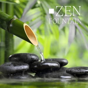 Zen Fountain - Anandani
