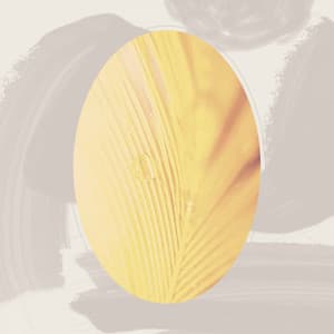 Echoes of Silent June - Música Animada para Cafés