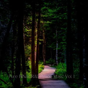 Pure BINAURAL Peace Music Vol. 1 - Hang Drum Music