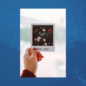 Background Music for Relaxing Intros - Classy Bossa Piano Jazz Playlist