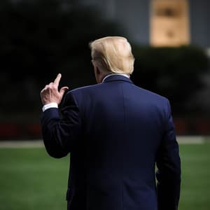 Donny The G Gonna Win Da Ting - Da Don