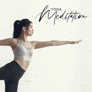 Yoga Meditation - Stress Relief Music for Beginner Yoga Practice - Healing Yoga Meditation Music Consort