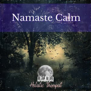 Namaste Calm - Holistic Therapist