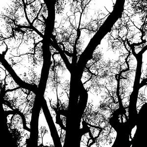 Music for Easy Summers - Delightful Chill Out - Jazz Romántica para Hoteles