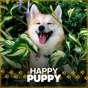Happy Puppy - Calm Dog Music