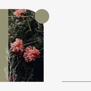 Swanky Ambiance for Rejuvenating Seasons - Classy Lounge Playlist