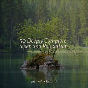 50 Deeply Complete Sleep and Relaxation - Smart Baby Lullaby