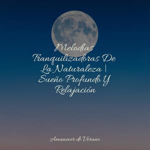Melodías Tranquilizadoras De La Naturaleza | Sueño Profundo Y Relajación - Saludo al Sol Sonido Relajante