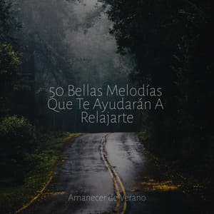 50 Bellas Melodías Que Te Ayudarán A Relajarte - Música a Relajarse
