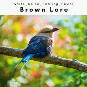 3 2 1 Brown Lore - White Noise Healing Power