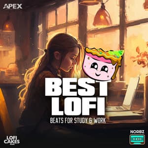 Best LoFi Beats For Study & Work - NORBZ