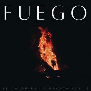 Fuego: El Calor De La Fogata Vol. 2 - Sonidos De Fuego