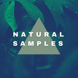 Natural Samples - Natural Samples