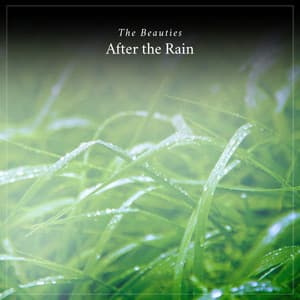 The Beauties After the Rain - Sounds Of Rain & Thunder Storms