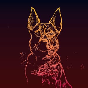 Lieder für schläfrige Hunde - Soothing Dog Sounds