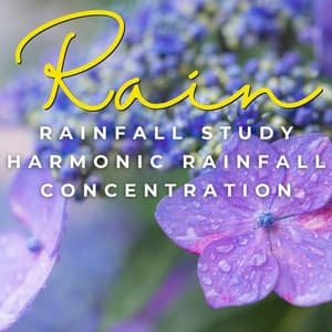 Rainful Study: Harmonic Rainfall Concentration - rainstantly
