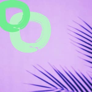 Bossa Guitar Trio - Ambiance for Great Lights - Chill Vibes for Coffee Shops